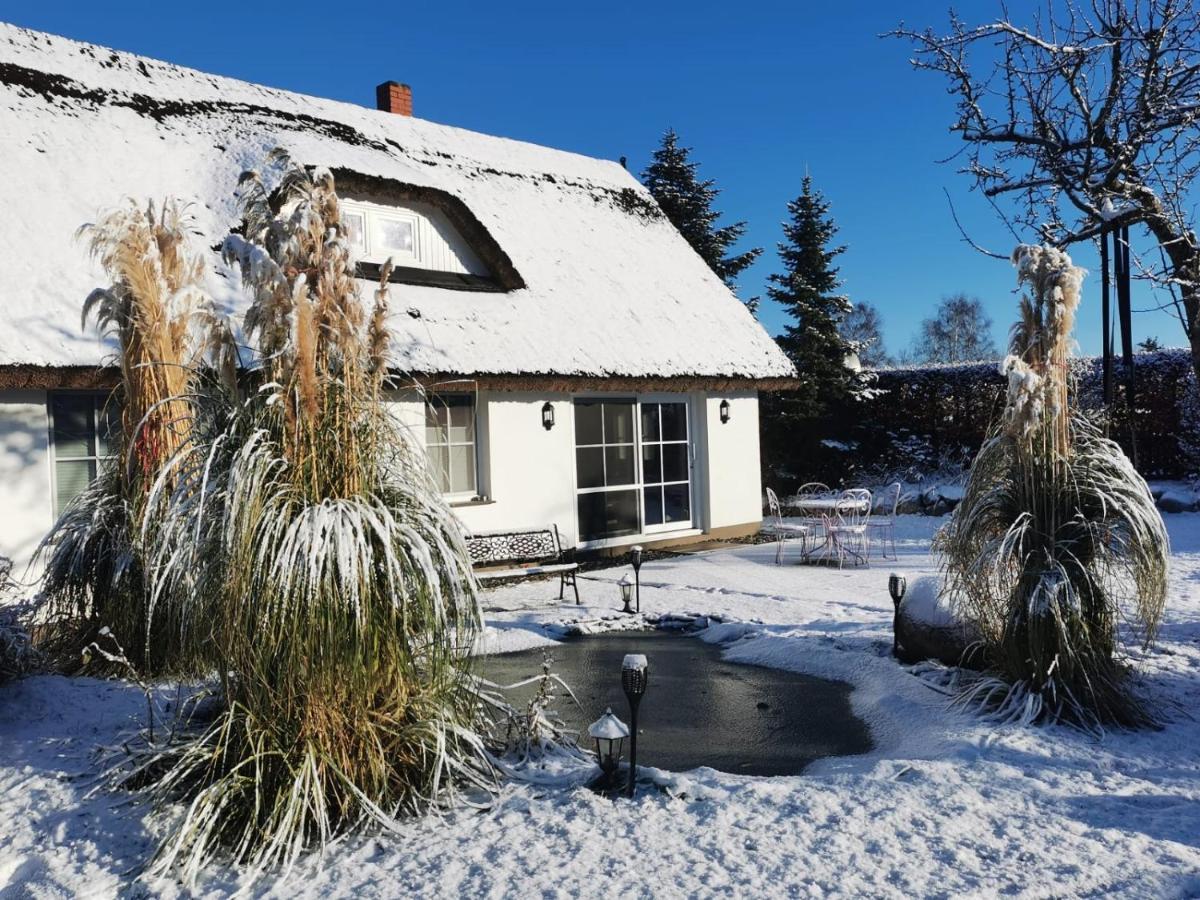 Reetferienhaus - Schaprode Hafen Exterior foto
